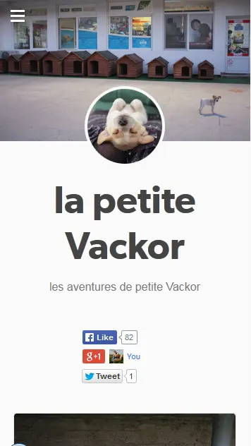 A customized Tumblr theme